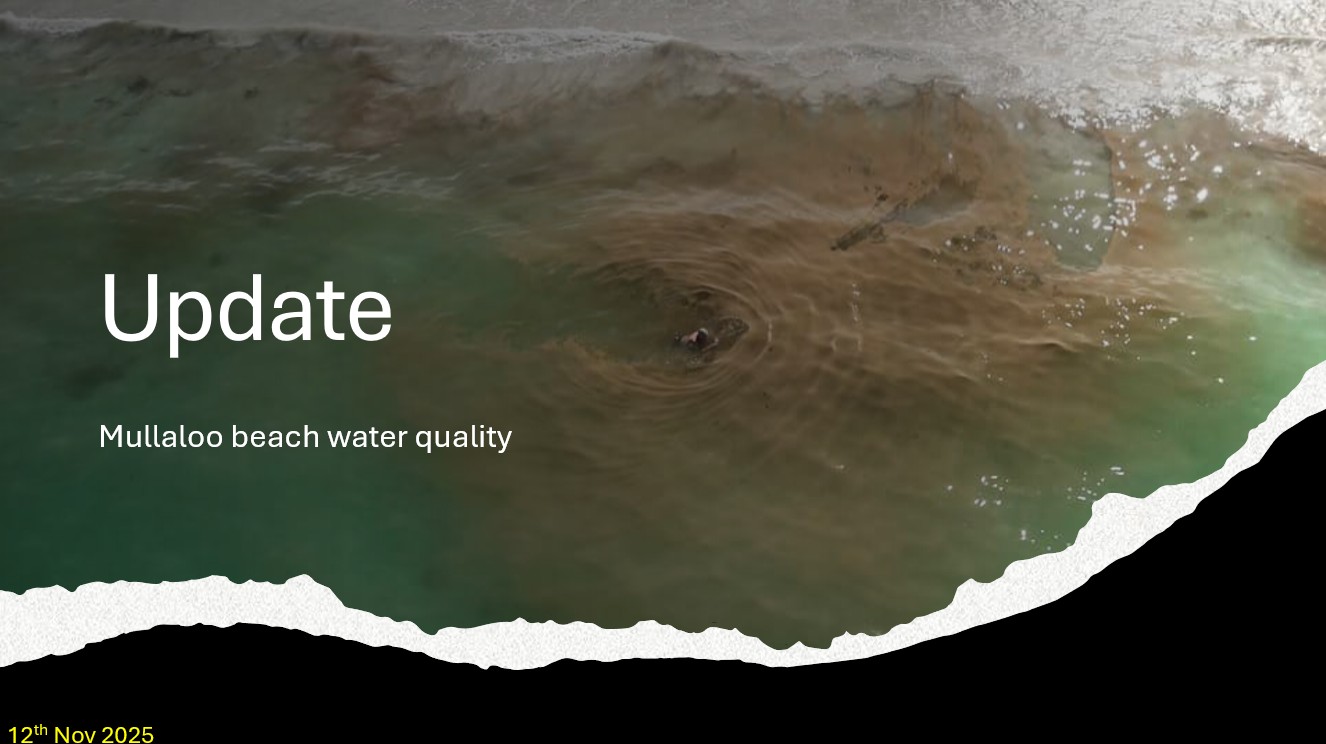 Mullaloo Beach Water Quality Update